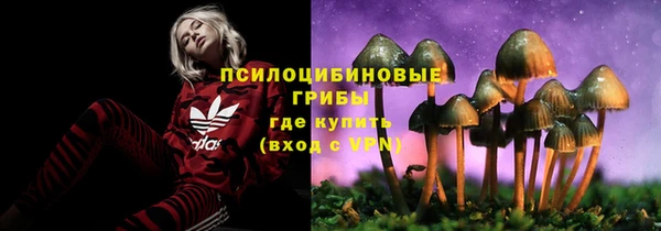 ГАЛЛЮЦИНОГЕННЫЕ ГРИБЫ Абинск